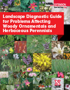 Landscape Diagnostics cover